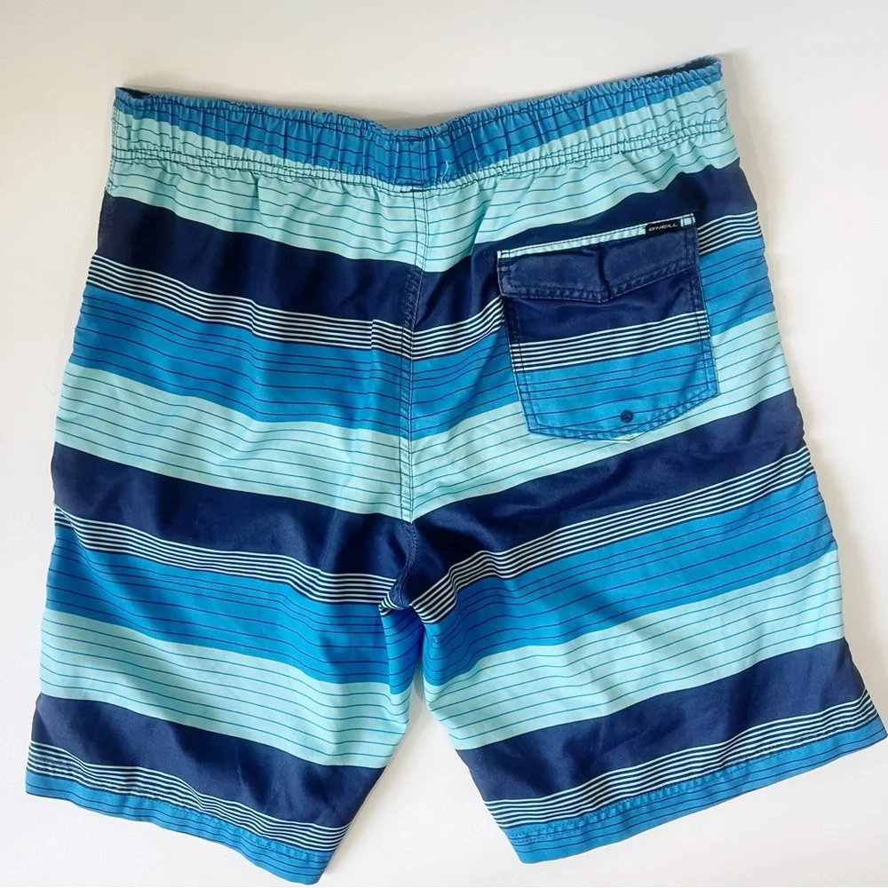O’Neill Bathing Suit Swim Trunks Blue Striped Size Large